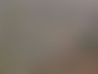 GSKニュースに載りました♪