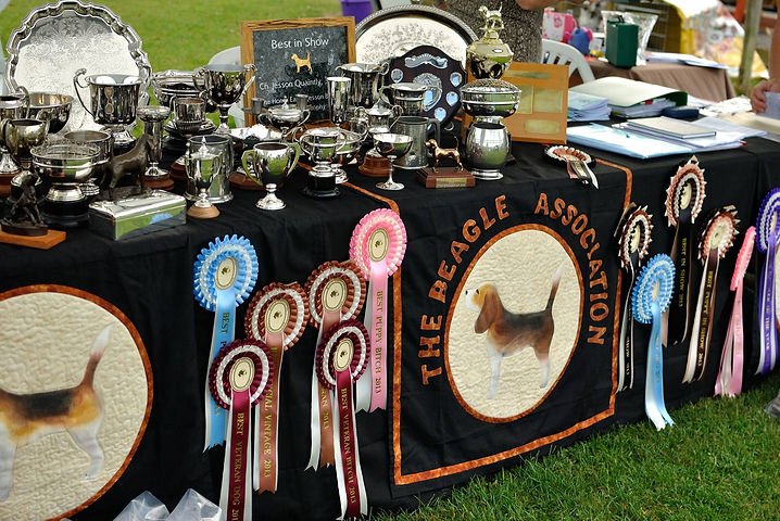 Dog show.jpeg