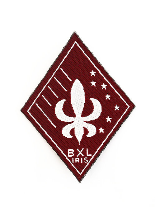 Région Bruxelles Iris (BXL IRIS)