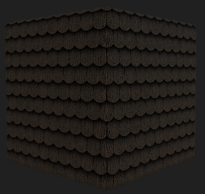 shingles.PNG