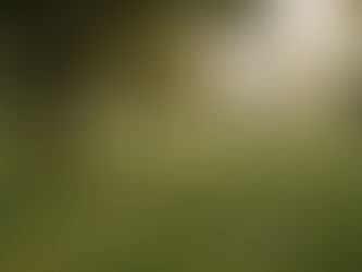 Buying a Cemetery Plot in Naples and Fort Myers