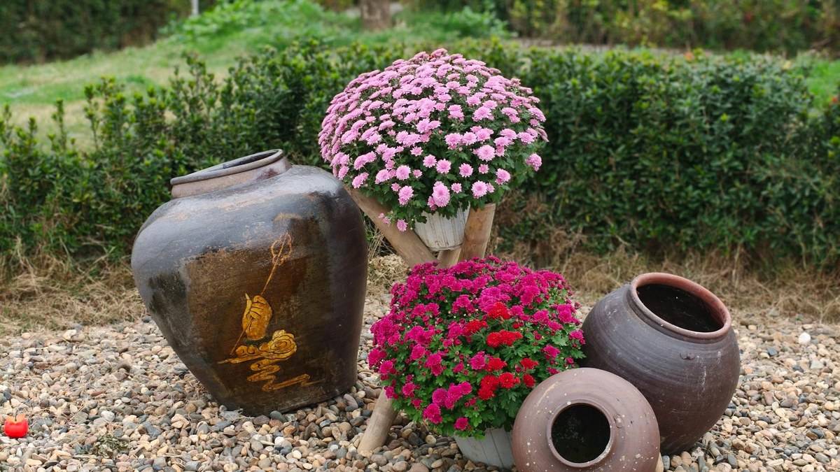 what is included in simple cremation service stock photo for Legacy Options families