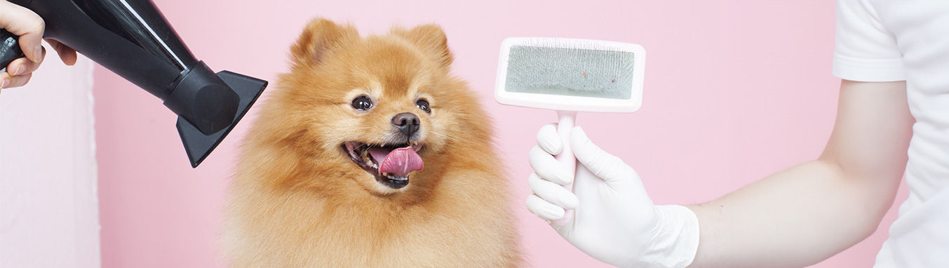 wash.jpg