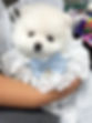 line_oa_chat_250304_145712_group_0.jpg