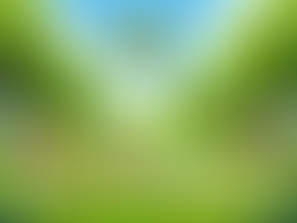 The Impact of Pet Adoption