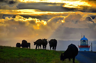 Image 6 - Lighthouse.jpg