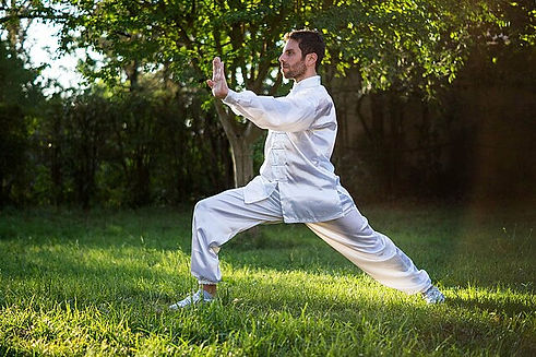 Tai_Chi_or_Shadowboxing.jpg