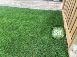 Sodding / new Grass Brampton