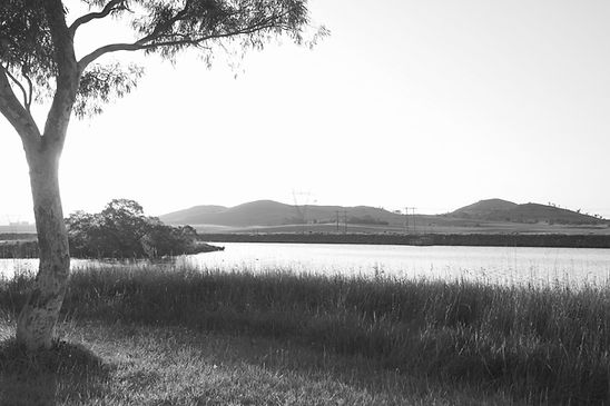 Photo of a body of water and rolling hills in the background, grass in the foreground - Canberra, Australia