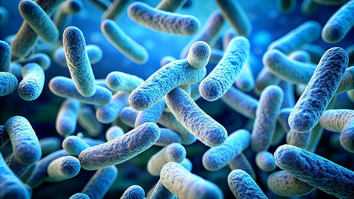 Microbiome.jpg