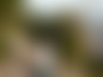 Agilité comportementale - la compétence invisible qui change tout