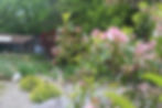 Songbird & Butterfly Gardens