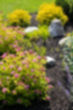 Perennial Gardens & Seasonal Color