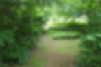 Woodland & Shade Gardens