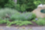 Mixed Borders & Grass Gardens