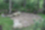 Reflections of Nature-172.jpg