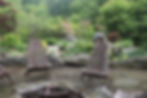 Vastu Gardens