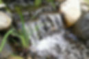 Rainwater Harvesting