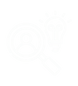 dfbhgng.png