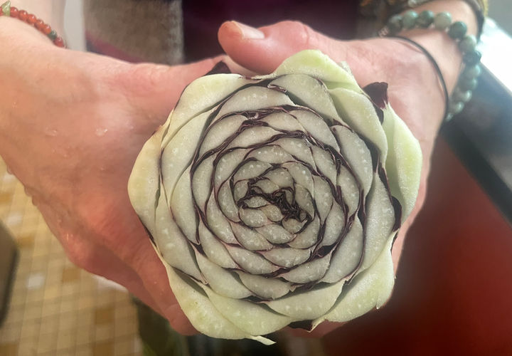 die Blume des Lebens versteckt