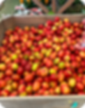 winghamCountryMarket_fruits.png
