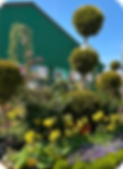 winghamCountryMarket_plantsTrees.png
