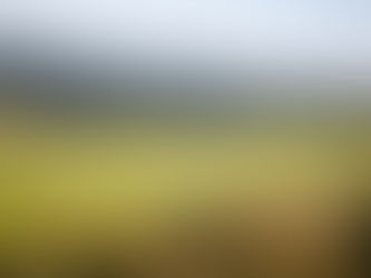 (37) Wielkopolski ser smażony, fried cheese from the west of Poland.