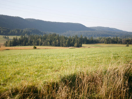 (37) Wielkopolski ser smażony, fried cheese from the west of Poland.