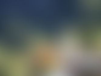 (30) Beaufort, a small village high in the Alps, a beautiful and delicious cheese.