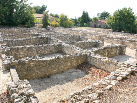 (43) Fiore Sardo, an original Sardinian delicacy 