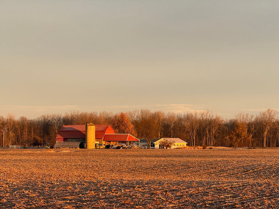 The Farm.jpeg