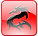 dragon_icon.png