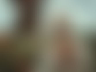 “The Day I Realised I’m Officially Becoming Dutch”