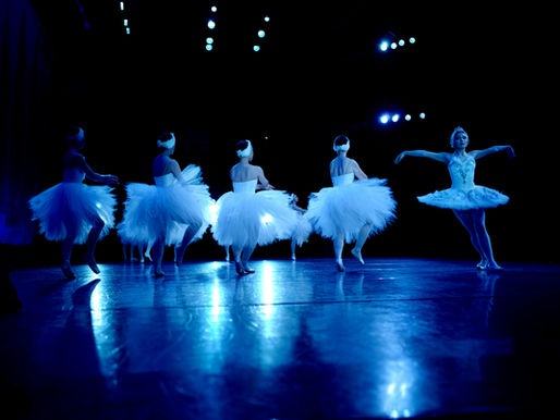 Be the Bird