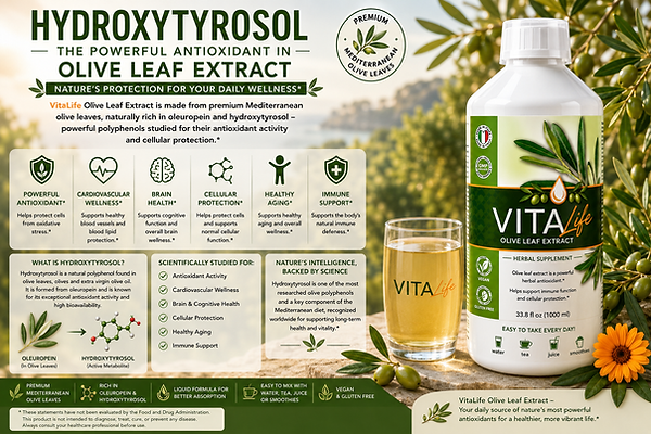Hydroxytyrosol Benefits, VitaLife olive leaf extract