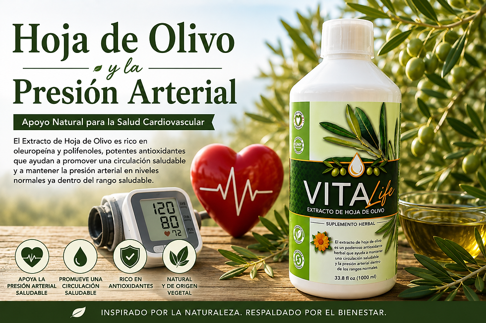 Hoja de olivo y presión arterial