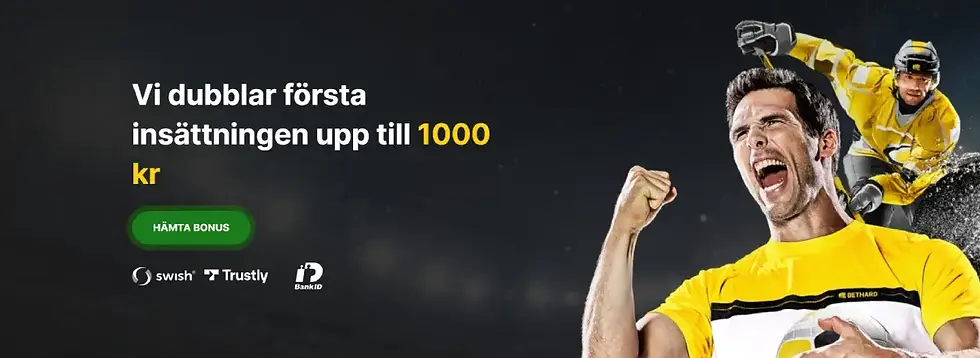 Nederländerna - Speltips Fotbolls EM 2024