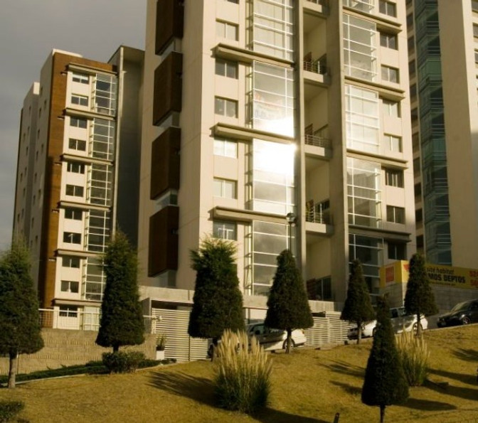 Site Habitat_edited.jpg