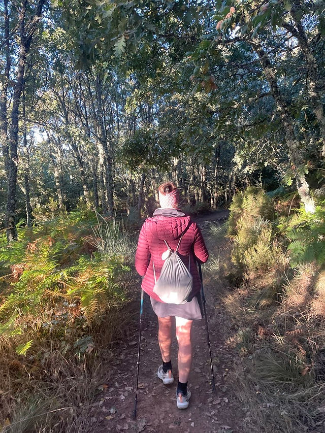 Wanderin auf Waldweg