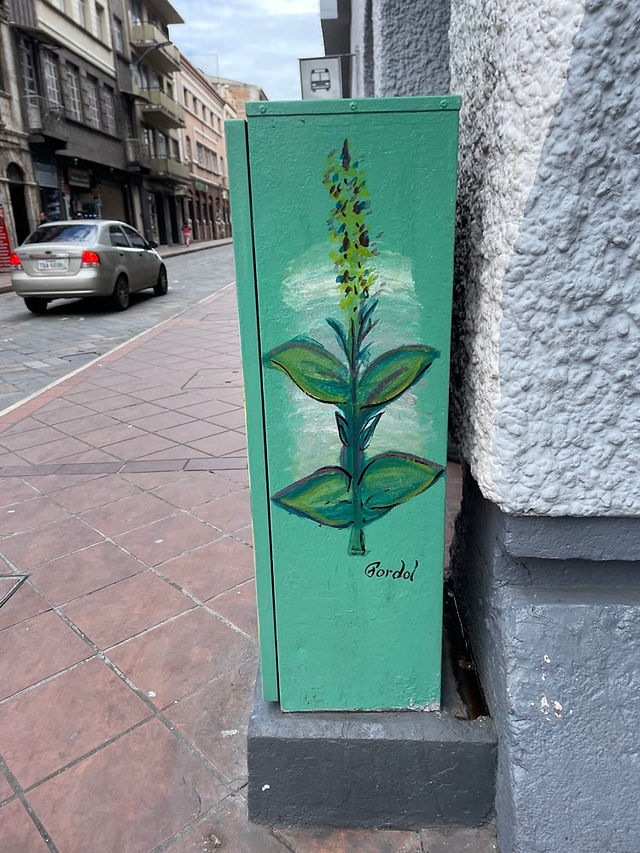 Gemaltes Blumenmotiv an einer grünen Box in Cuenca.