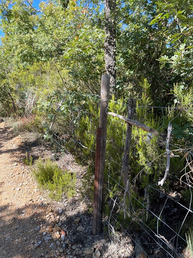 Rostiger Zaunpfahl an Wanderweg