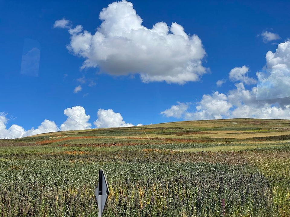 Hügeliges Feld unter blauem Himmel mit weißen Wolken