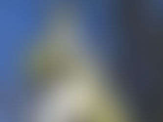 10月23日 誕生日
グスタフ・アルベルト・ロルツィング