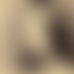 5月20日 命日 クララ・シューマン