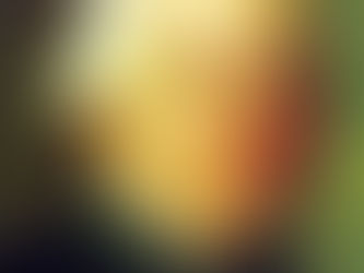 1月17日 誕生日
フランソワ=ジョゼフ・ゴセック