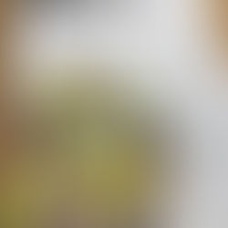 「南天の花」が音楽現代で推薦の評価を頂きました！