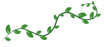 vines01_edited_edited_edited.png