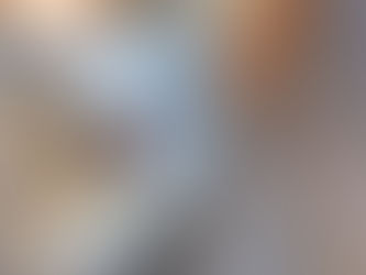 chihuahua in borsa grigia