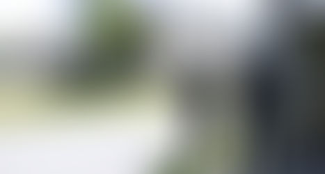 O que se sabe sobre o atentado na Áustria que deixou deixou 10 mortos