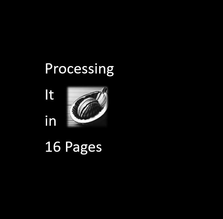 Processing It in 16 Pages
